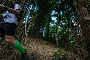 BIB: 
                            <button type="button" onclick="openModal(19395668)" class="btn btn-primary btn-sm float-right btn-popup" data-toggle="modal" data-target=".modal-high-quality">
                        <i class="fas fa-shopping-cart"></i> Add to Cart
                    </button>
                                            <button type="button" onclick="isThisMe(19395668, true)" class="btn btn-success btn-sm float-right btn-popup btn-isme hidden" data-toggle="tooltip" data-placement="bottom" title="นี่คือรูปของคุณใช่ไหม คลิกที่นี่เพื่อเอาเข้าอัลบั้ม">
                        <i class="fas fa-plus"></i> Add to album
                    </button>
                    <button type="button" onclick="isThisMe(19395668, false)" class="btn btn-warning btn-sm float-right btn-popup btn-isnotme hidden">
                        <i class="fas fa-ban"></i> Remove from album
                    </button>